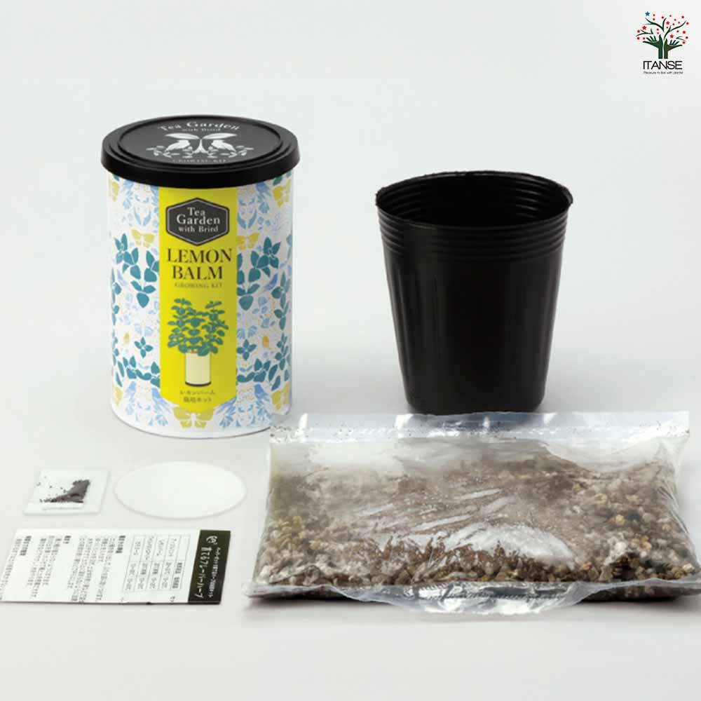 追加商品画像