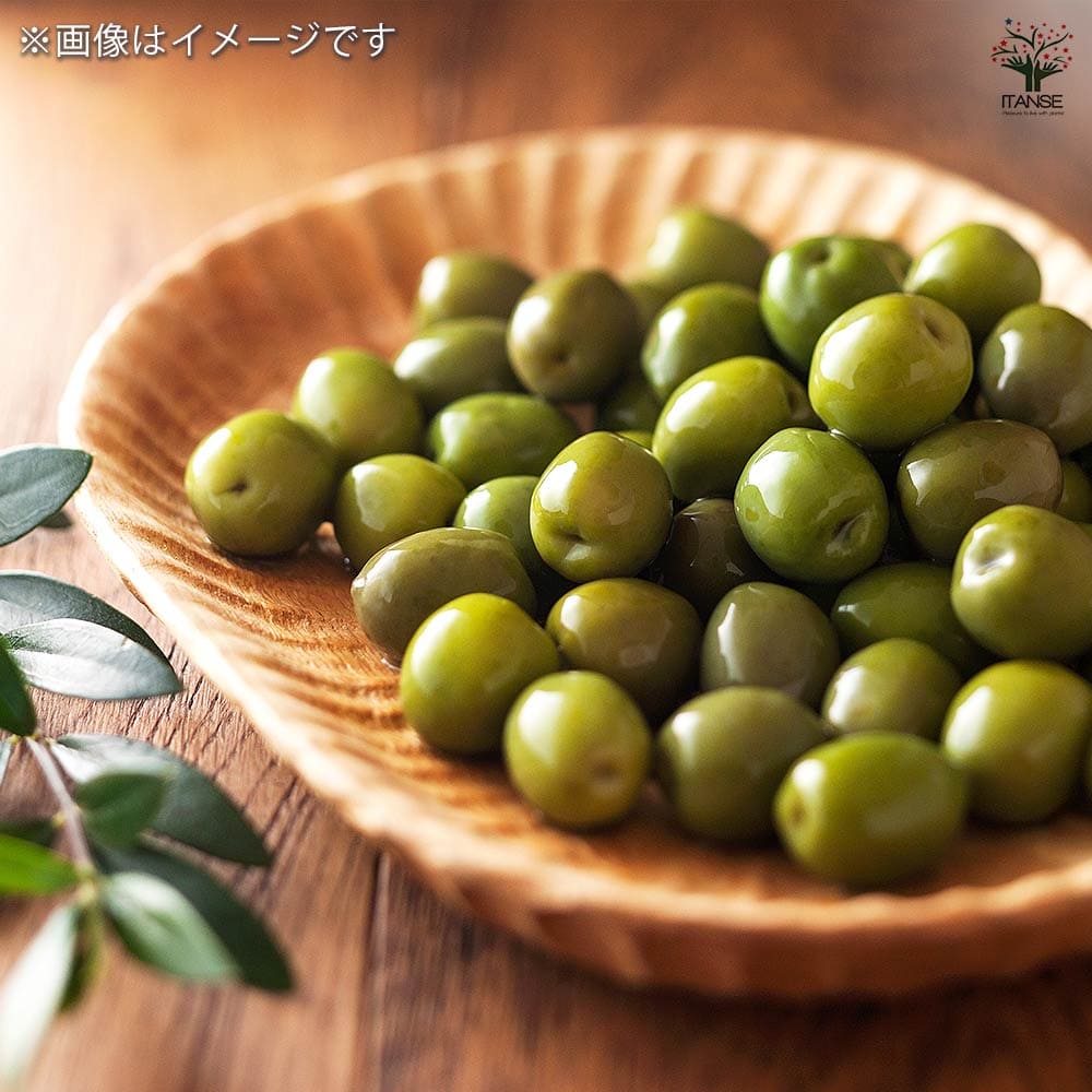 オリーブ マウリーノ 【果樹の苗 3.5号】｜ 【植物のITANSE