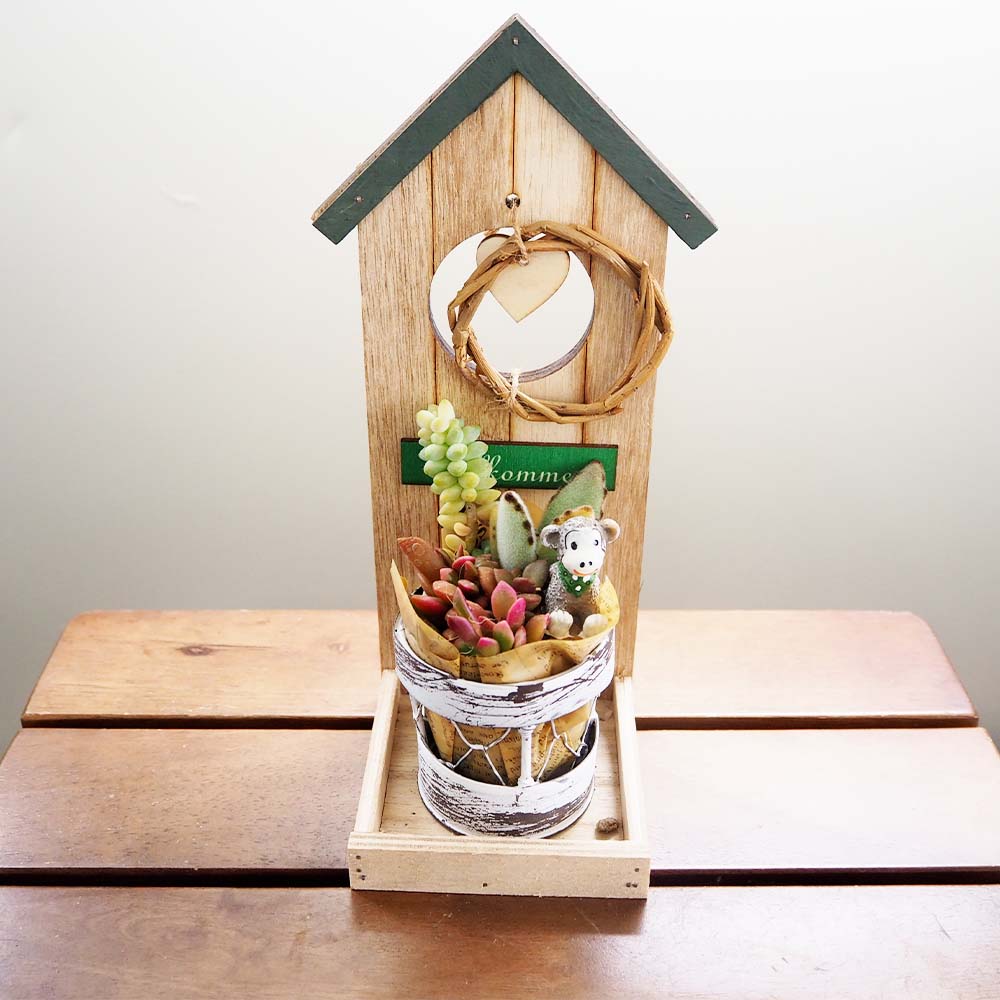多肉寄せ植え ウッドハウス 【多肉植物 3号／1個売り】