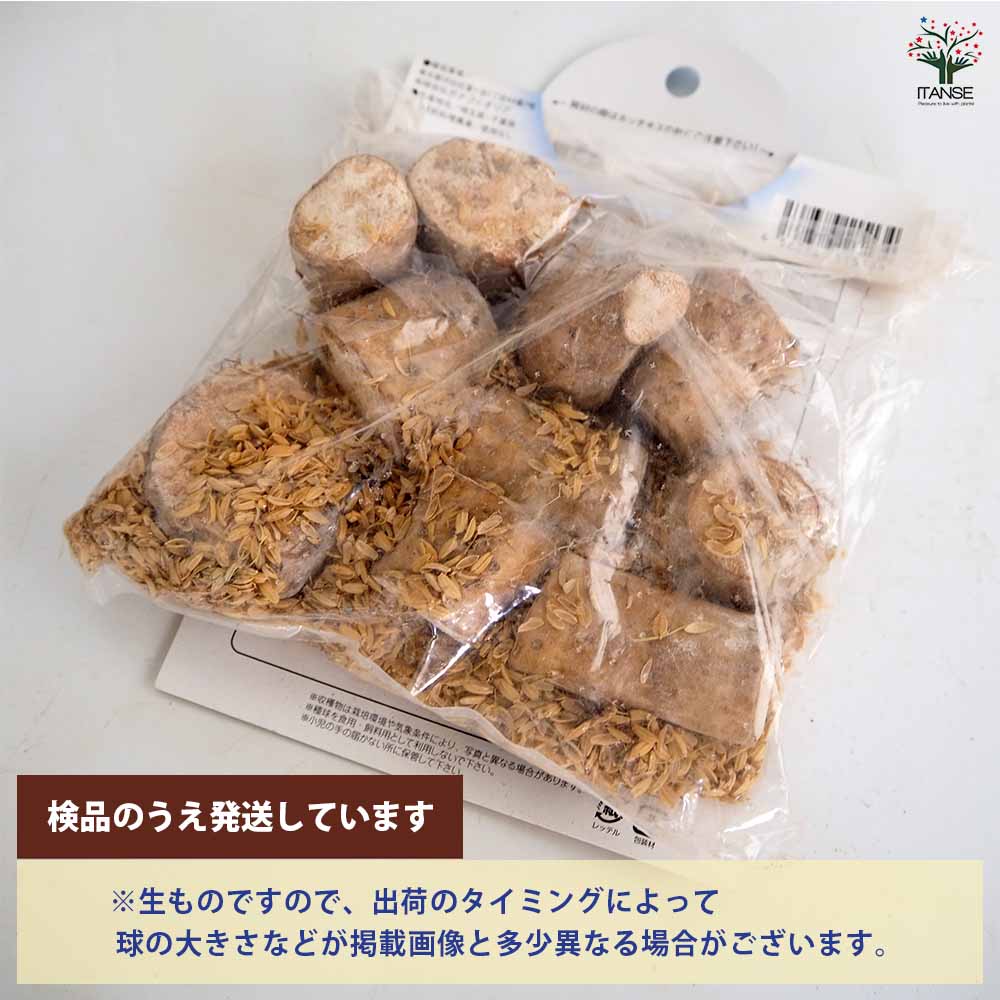 Ｙ様まとめ買い　曲瓢　いちょう 野菜型抜き 料理型 いちょう 有次大 抜き型 曲瓢箪 2号 | 食器と料理道具の専門店「プロキッチン」