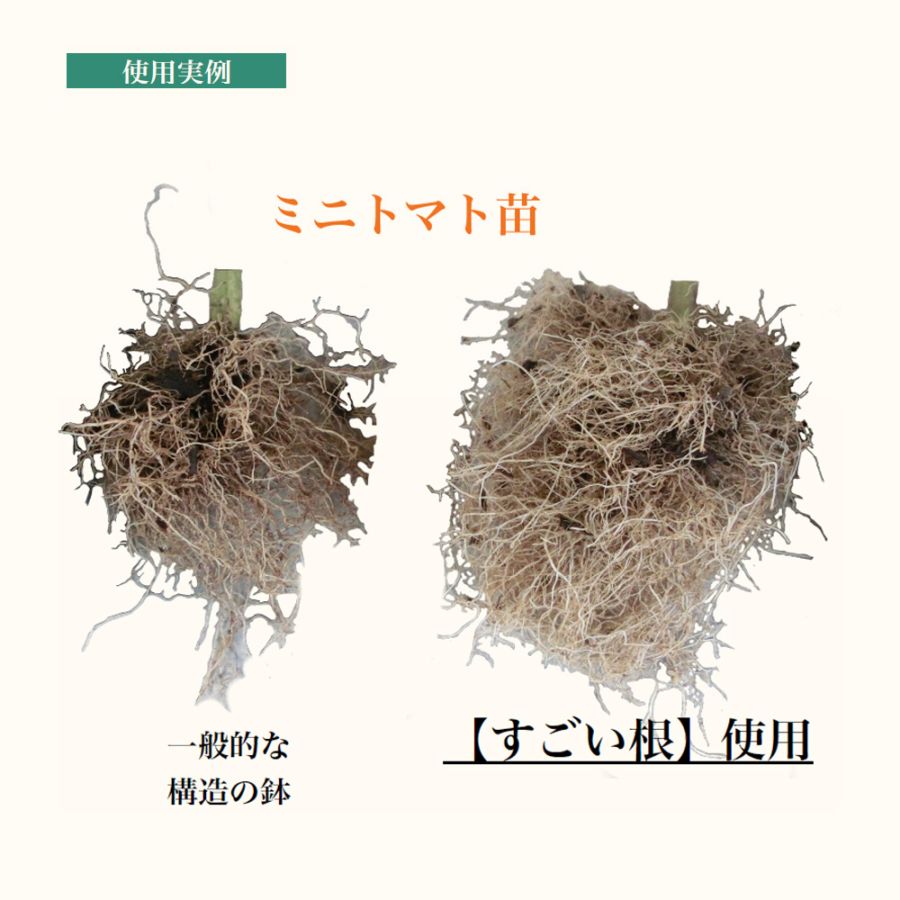 すごい根 【資材 植木鉢 プラスチック鉢 】｜ 【植物のITANSE