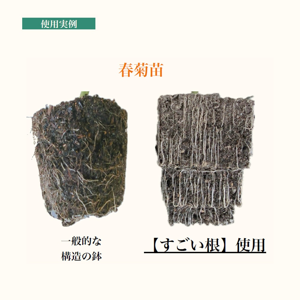 すごい根 【資材 植木鉢 プラスチック鉢 】｜ 【植物のITANSE