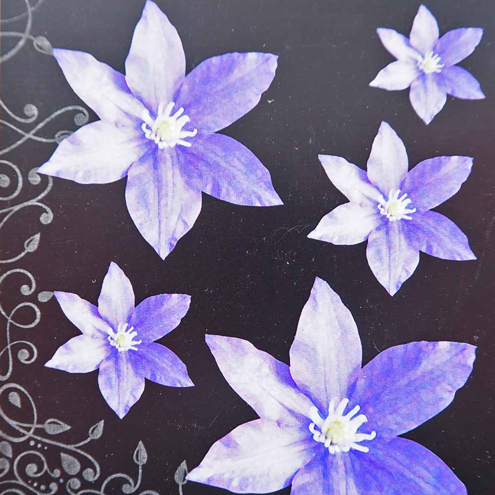 クレマチス H Fヤング 【花苗 4号／1個売り】｜ 【植物のITANSE