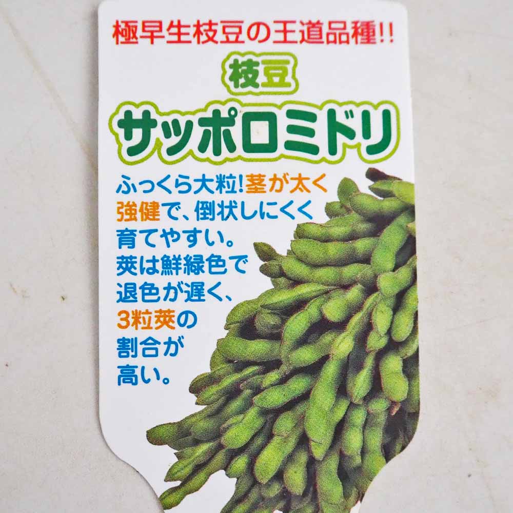 枝豆の苗 サッポロミドリ2個～ 【野菜の苗 3号】