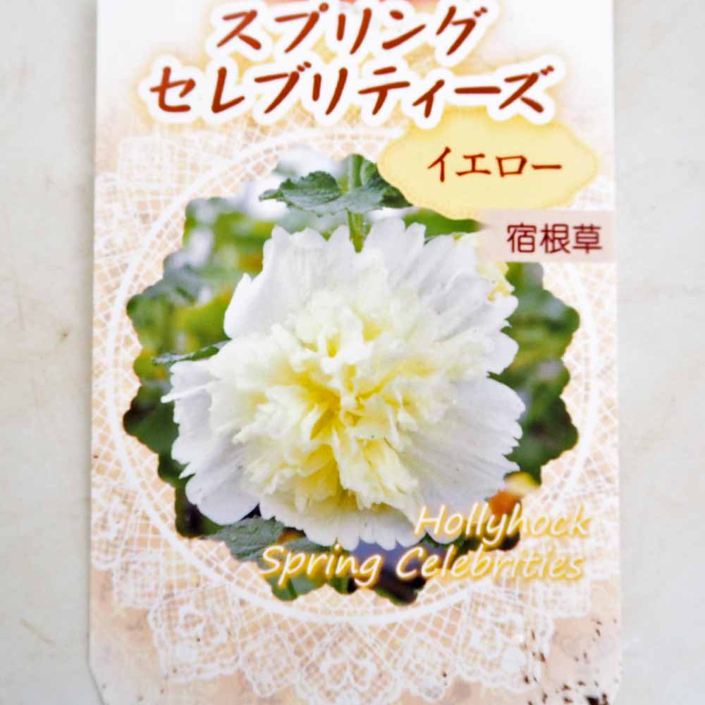 ホリホック スプリングセレブリティーズ イエロー 【花苗 3号