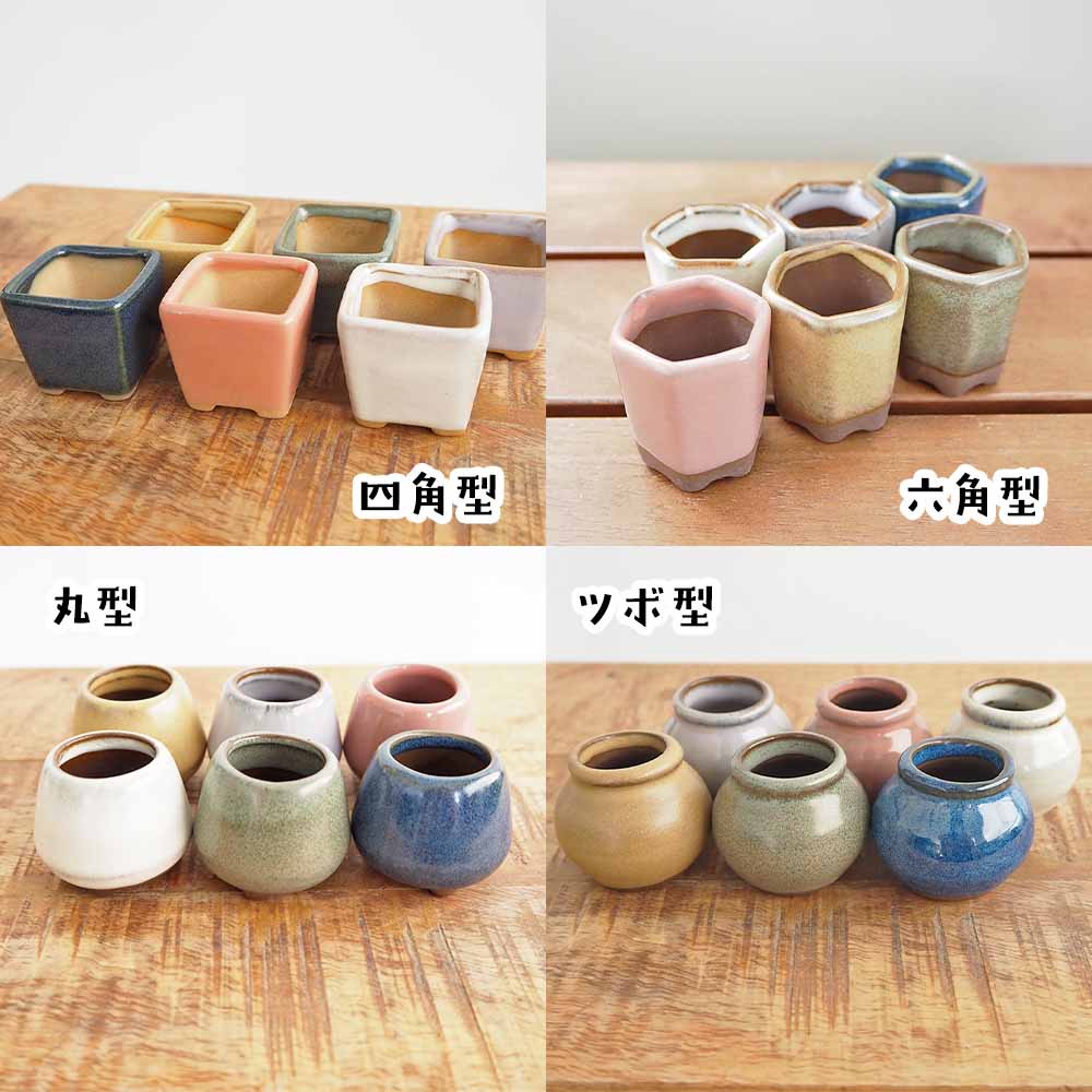陶器鉢 ミニ盆栽まめポット【選べる形状】｜ 【植物のITANSE