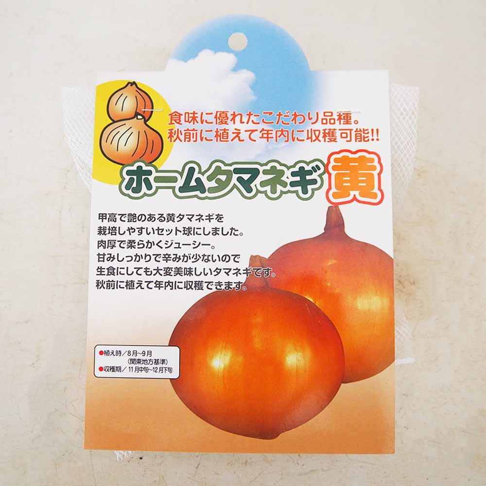 野菜球根 ホームタマネギ 黄 【野菜の苗 20球】