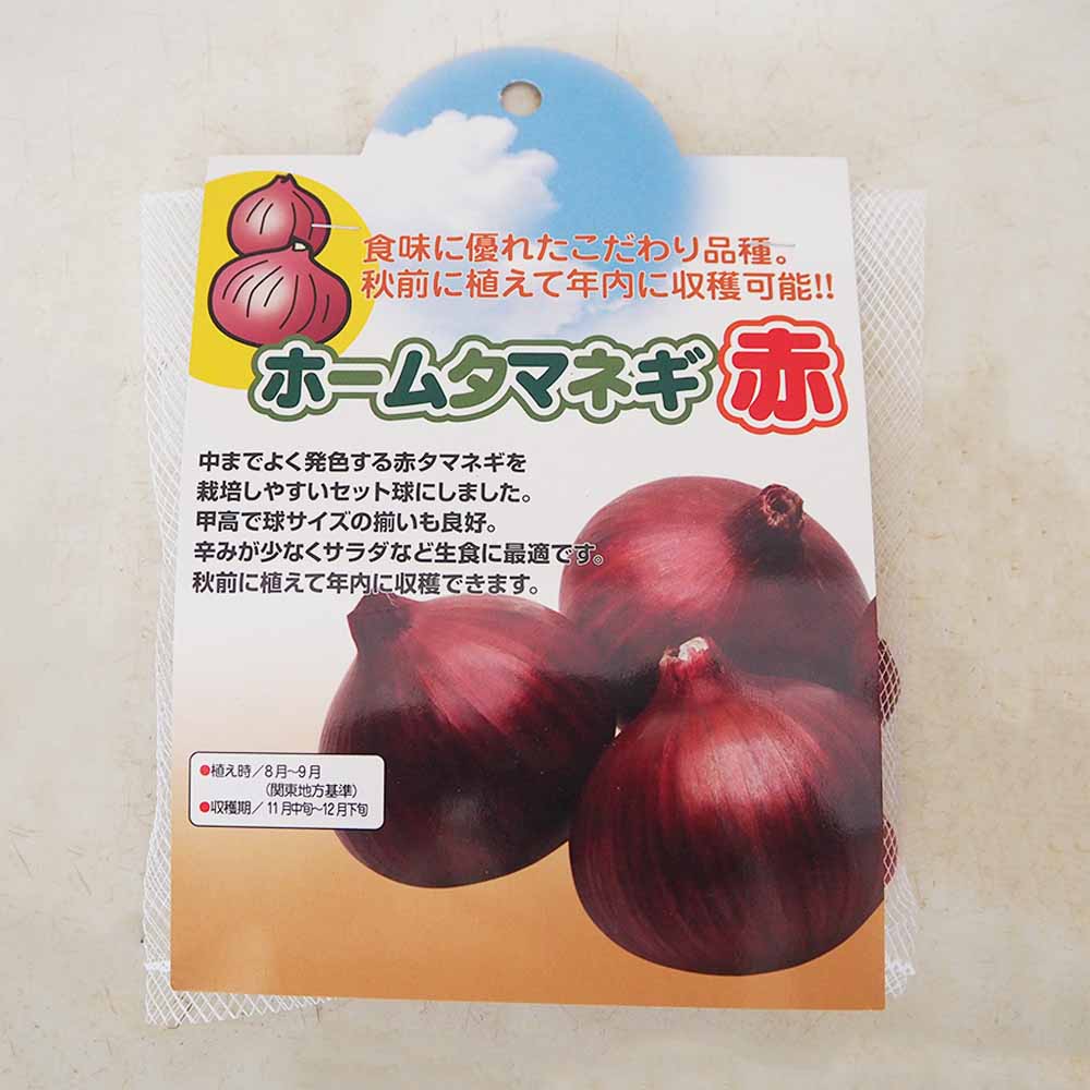 野菜球根 ホームタマネギ 赤 【野菜の苗 20球】｜ 【植物の