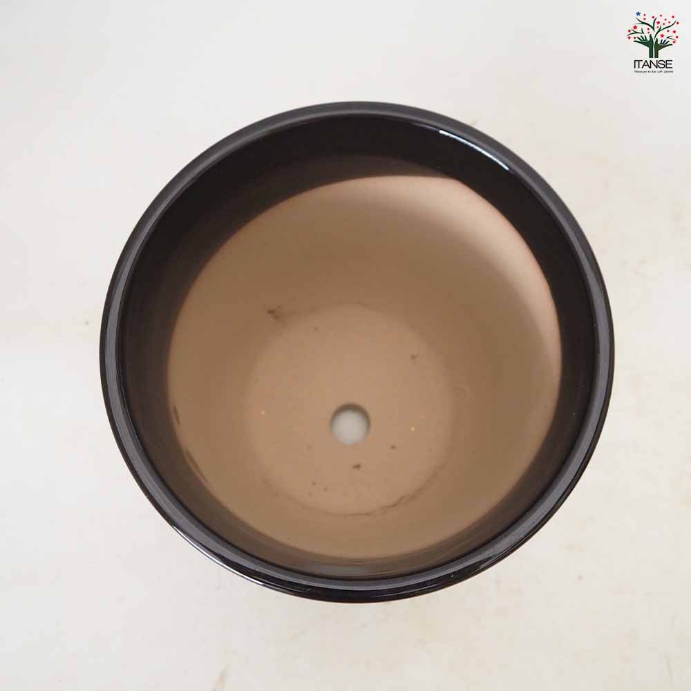 陶器鉢 迎春用黒鉢 【 陶器鉢 】｜ 【植物のITANSE】全品送料