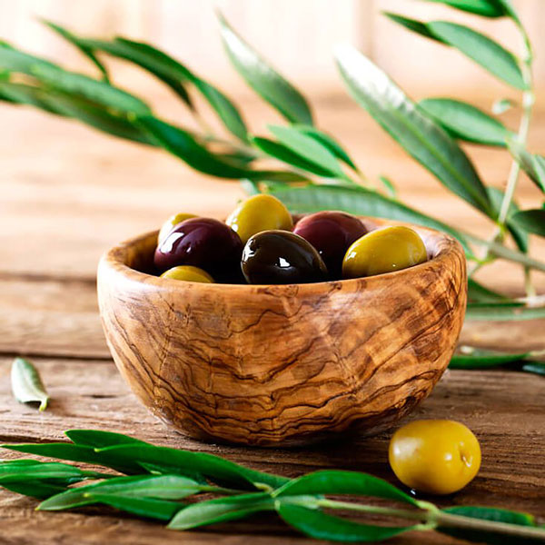 「コロネイキ」オリーブ苗木12cmロングポット(2～3年生挿し木／大苗)【1個】