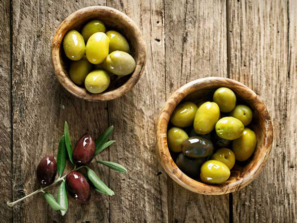 「コロネイキ」オリーブ苗木12cmロングポット(2～3年生挿し木／大苗)【1個】