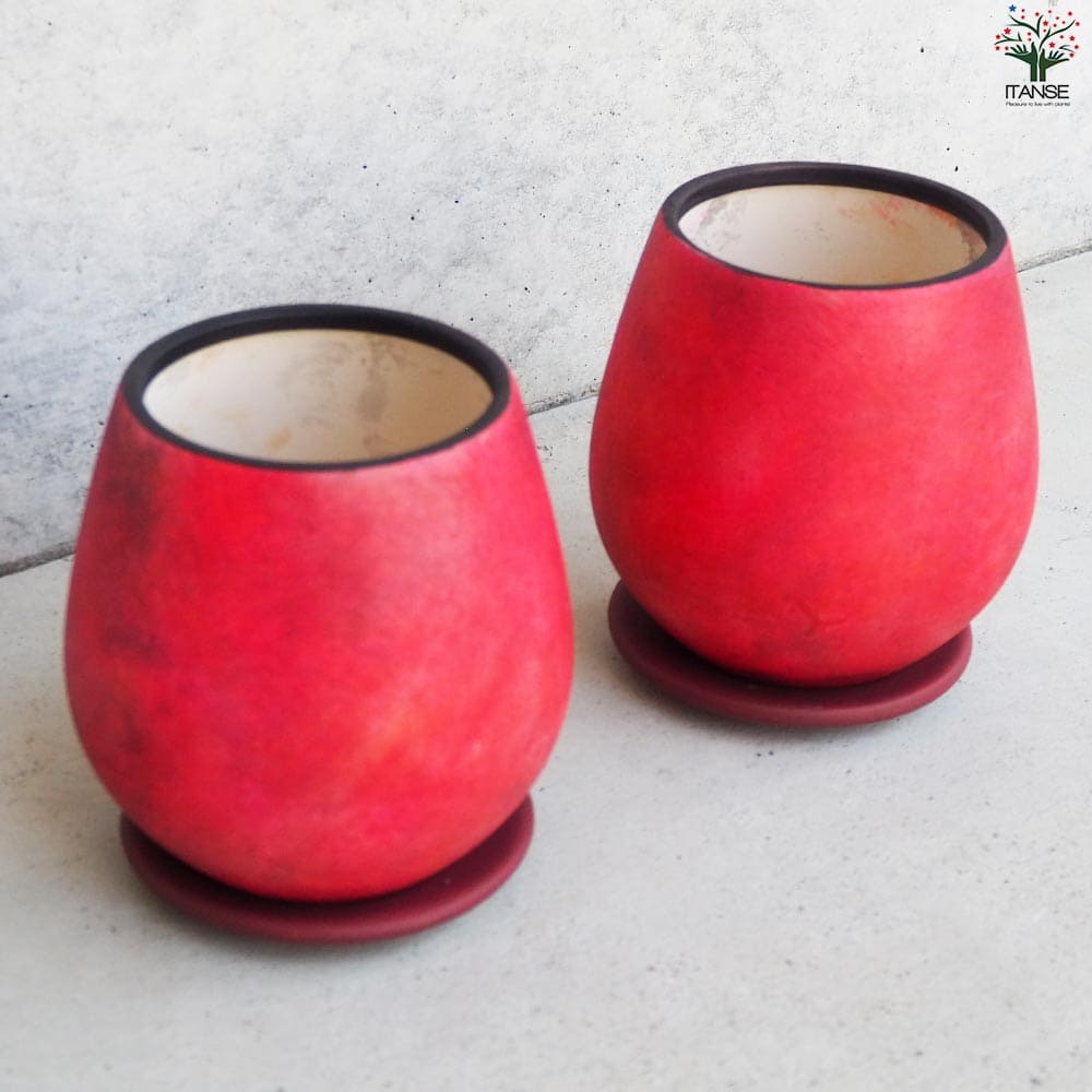 皿付陶器鉢 彩色焼磁 レッド【資材 12cm】｜ 【植物のITANSE