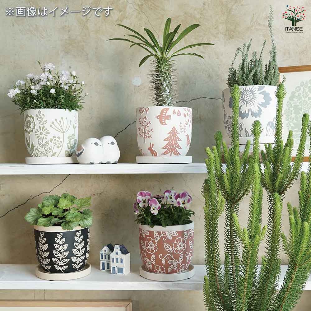 陶器鉢 ニューセラ リーフ B セラミックポット グリーン 【陶器鉢 ／1