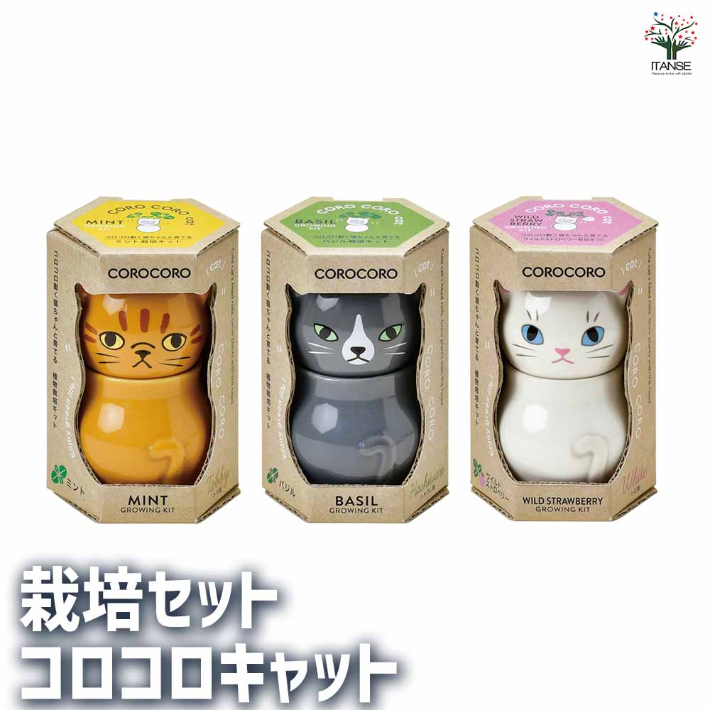 栽培セット コロコロキャット｜ 【植物のITANSE】全品送料無料