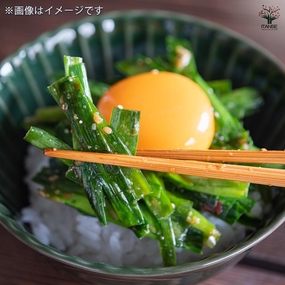 四季穫りニラ ミラクルグリーンベルト 【野菜球根 約10芽/1個売り】