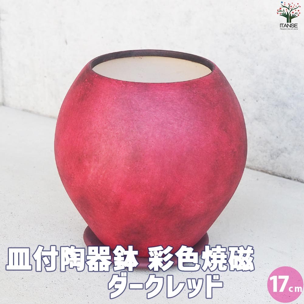 皿付陶器鉢 彩色焼磁 ダークレッド【資材 17cm】｜ 【植物の