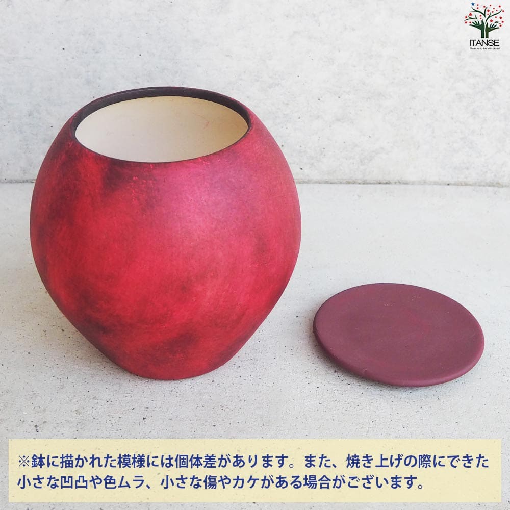 皿付陶器鉢 彩色焼磁 ダークレッド【資材 17cm】｜ 【植物の
