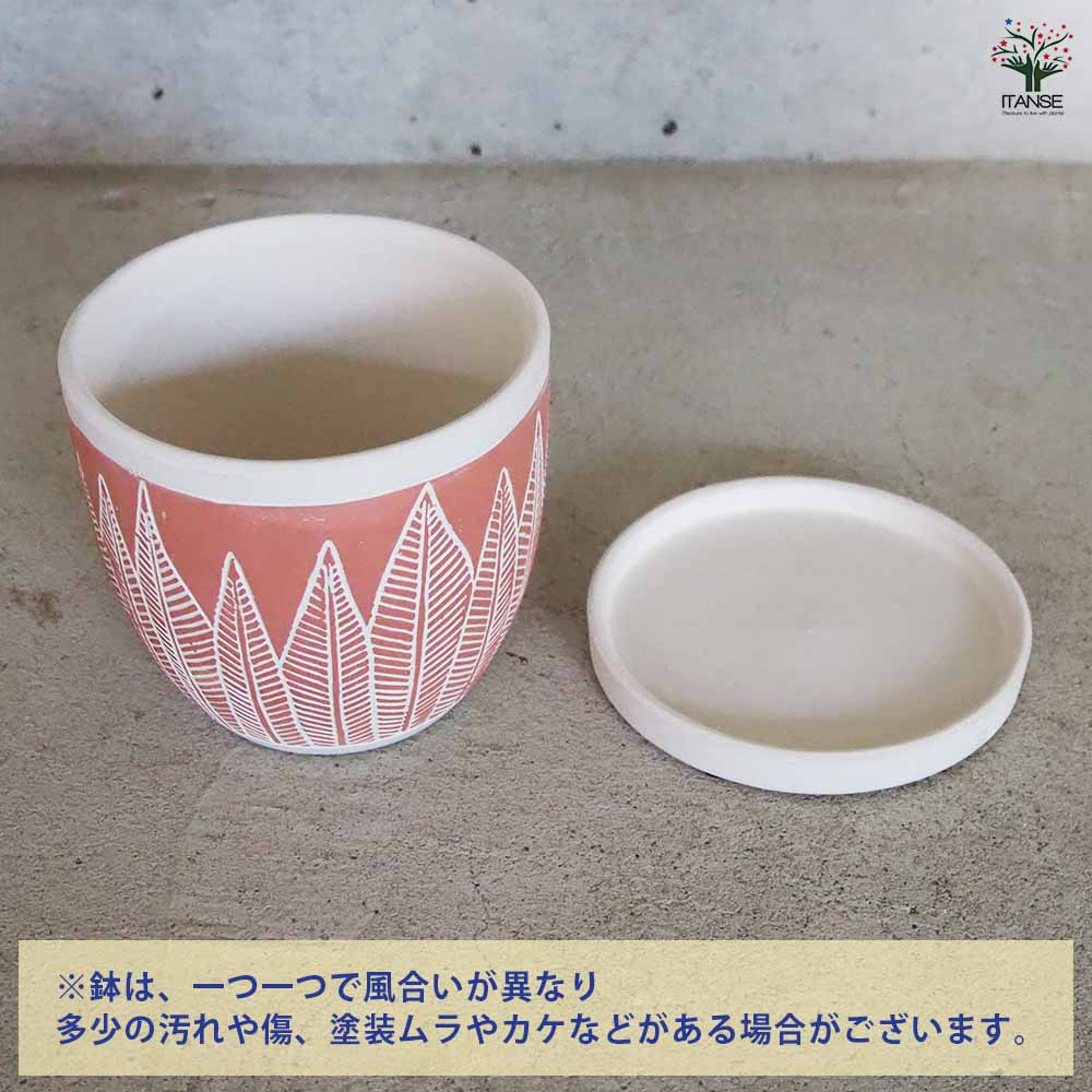 陶器鉢 ニューセラ リーフ C セラミックポット オレンジ 【陶器鉢 ／1
