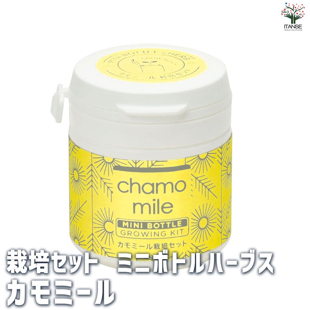 栽培セット ミニボトルハーブス カモミール 【1個売り】｜ 【植物の