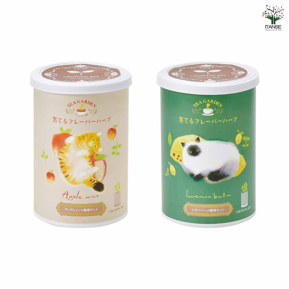 栽培セット 育てるフレーバーハーブ