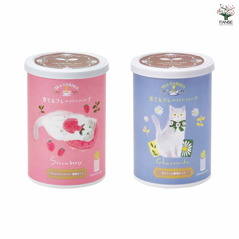 栽培セット 育てるフレーバーハーブ