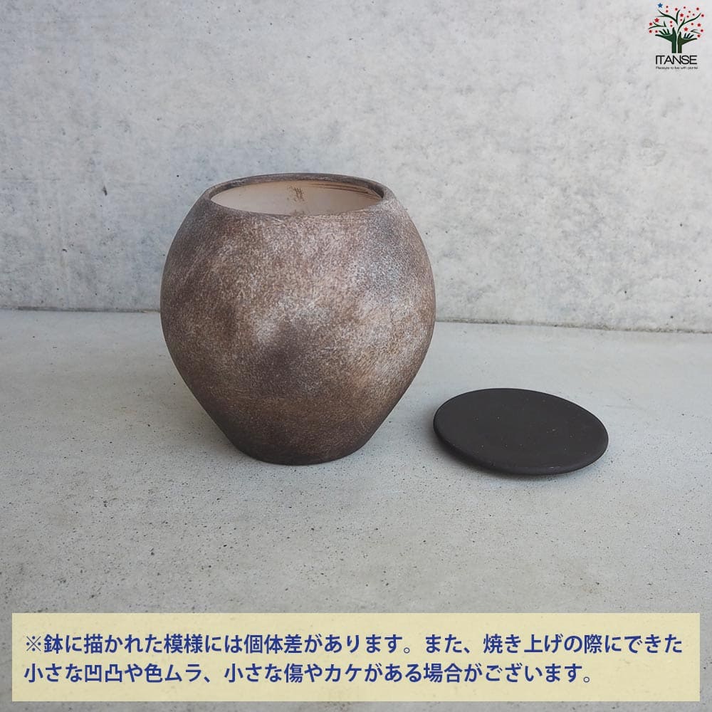 皿付陶器鉢 彩色焼磁 ダークブラウン【資材 17cm】｜ 【植物の