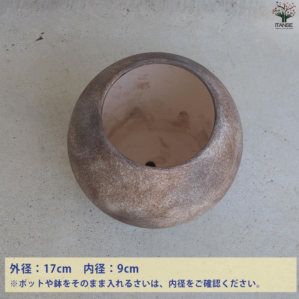 皿付陶器鉢 彩色焼磁 ダークブラウン【資材 17cm】