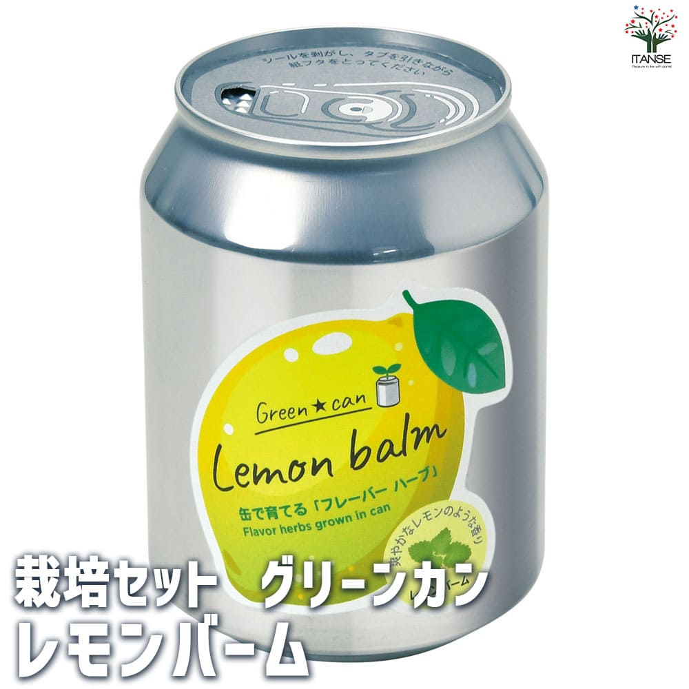栽培セット グリーンカン レモンバーム 【1個売り】| 【植物の 栽培セット グリーンカン レモンバーム 【1個売り】| 【植物の