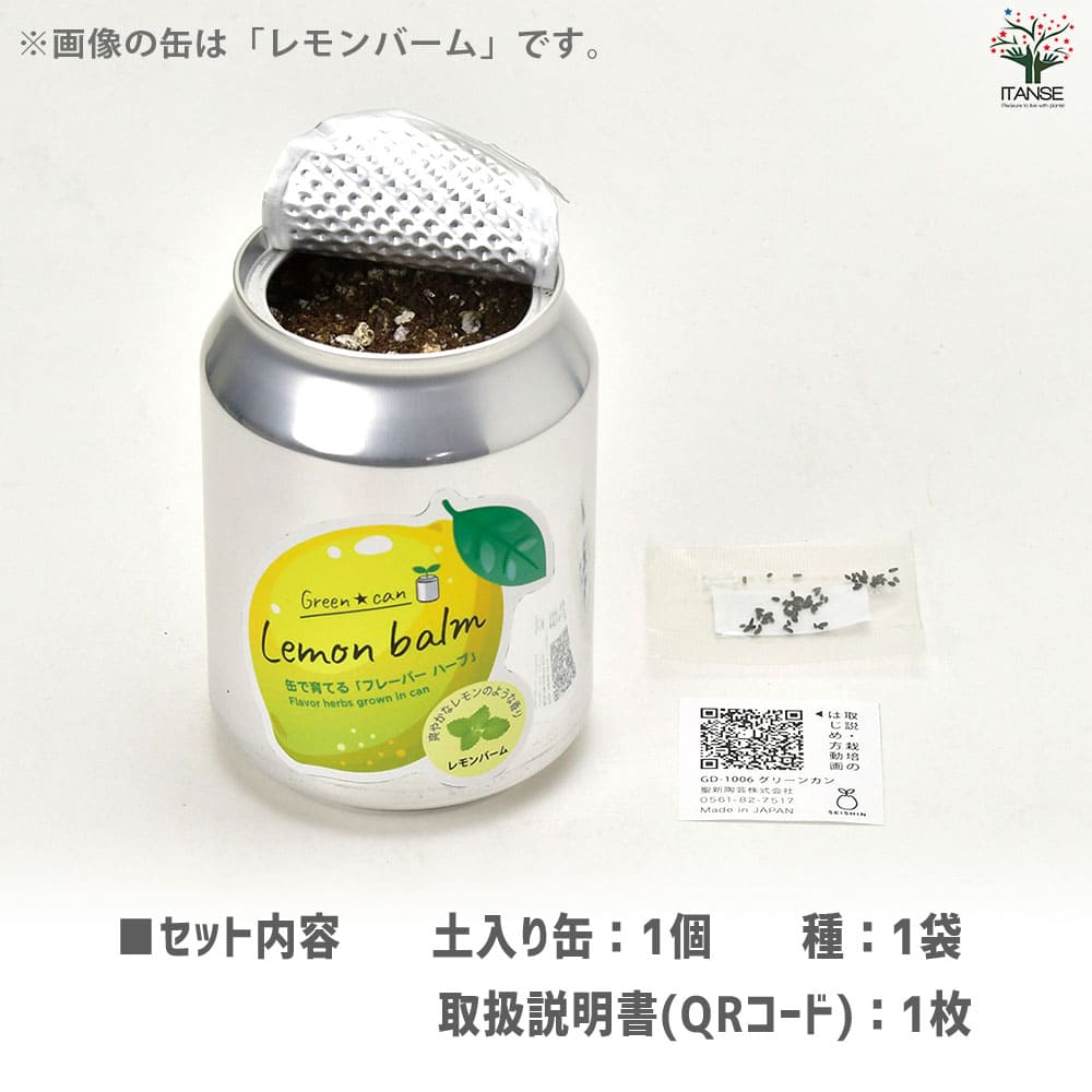 栽培セット グリーンカン レモンバーム 【1個売り】｜ 【植物の