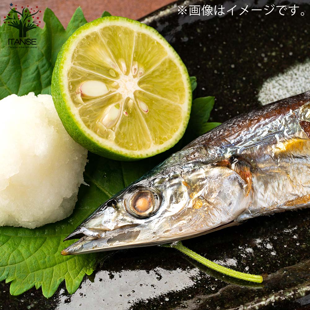 Itanse良品ｾﾚｸﾄ通販