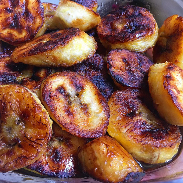 ドワーフ・モンキーバナナ【果樹苗 13.5cmポット】