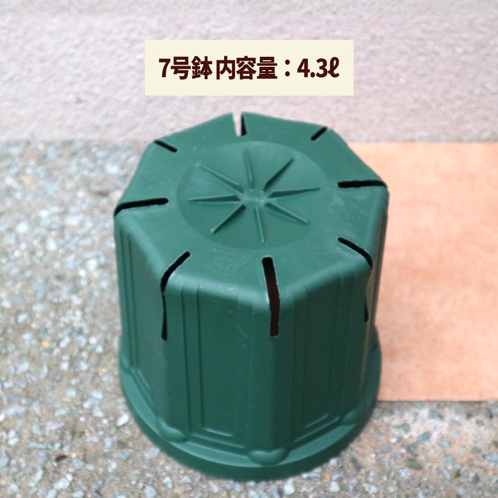 スリット鉢【7号・8号・10号鉢／各1個 合計3個セット】｜ 【植物の