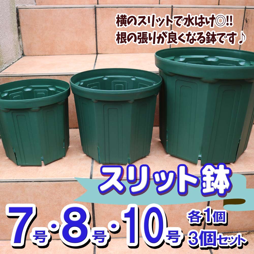 スリット鉢【7号・8号・10号鉢／各1個 合計3個セット】｜ 【植物の