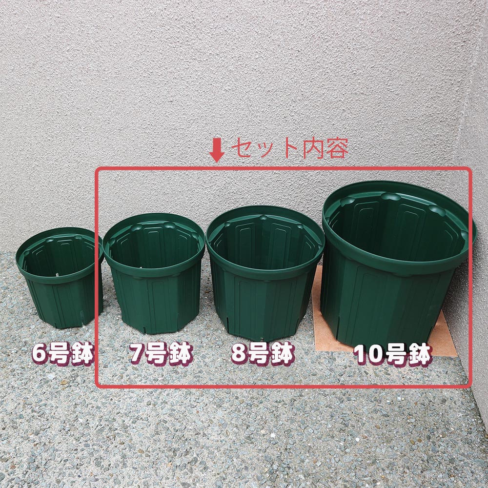 スリット鉢【7号・8号・10号鉢／各1個 合計3個セット】｜ 【植物