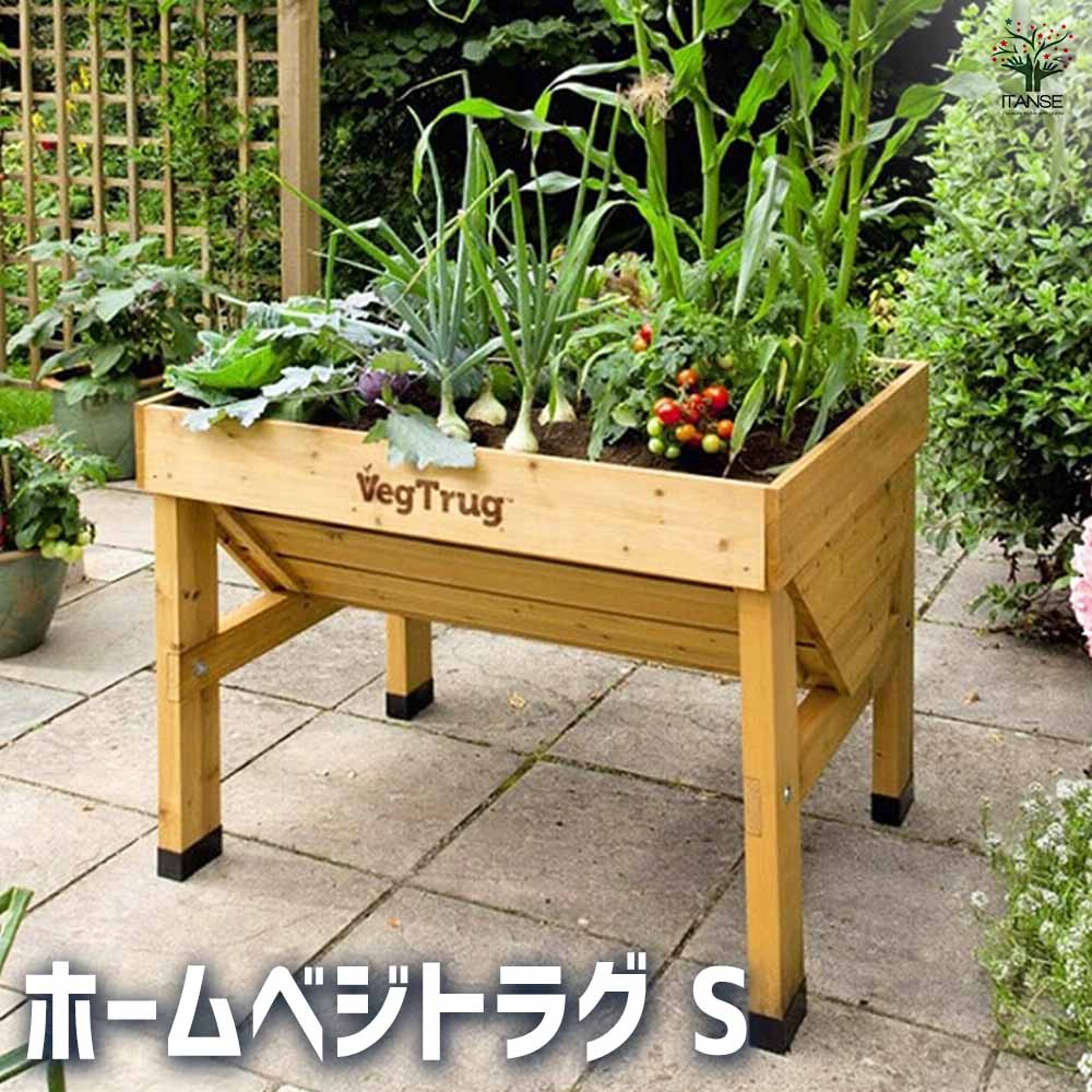 ベジトラグ ホームベジトラグS 【資材 ／1個売り】｜ 【植物の