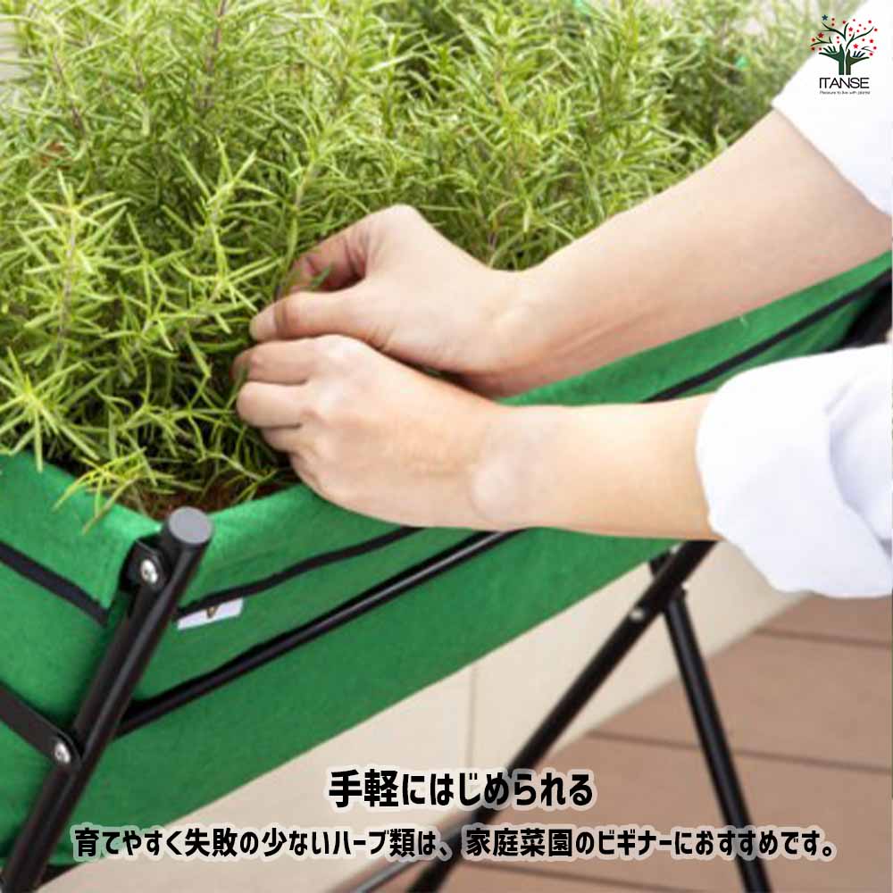 ベジトラグ ホームベジトラグS 【資材 ／1個売り】｜ 【植物の
