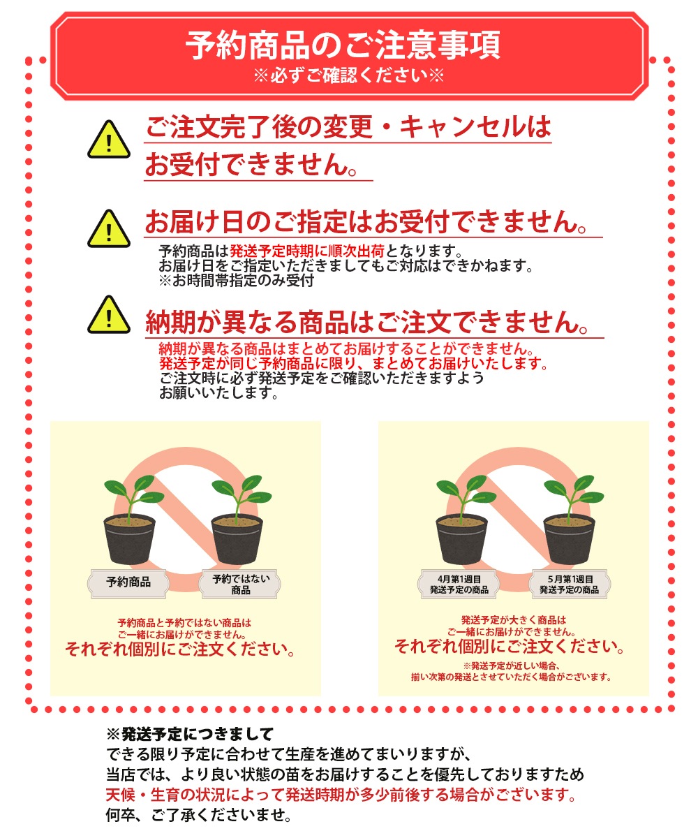 つるむらさき(赤茎・青茎見計い混合)【野菜苗9cmポット／3個セット】