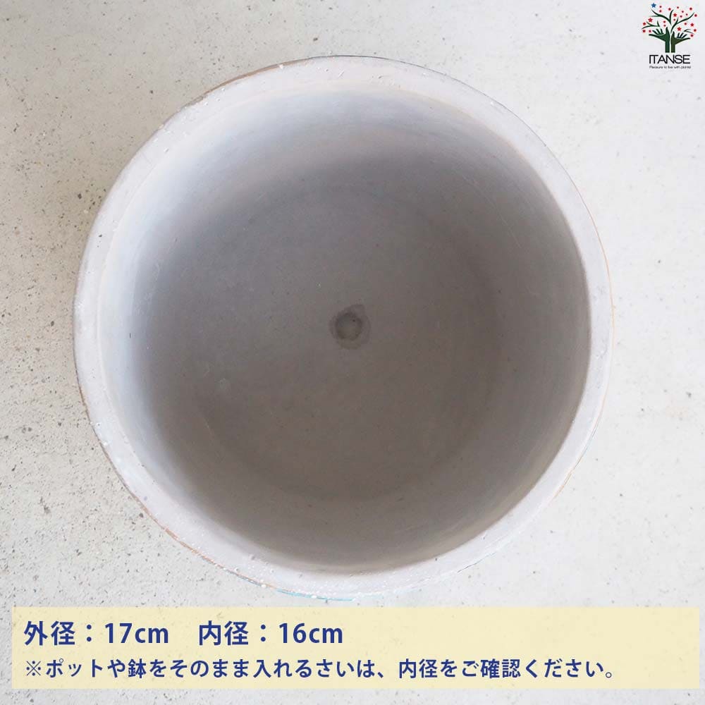 16世紀　高麗青磁鉢　幅約17.7㎝　木箱付　タコチ　東さ7-0424☆2F 16世紀 高麗青磁 皿 幅約14.3㎝ タコオ 東さ7-0926② - メルカリ