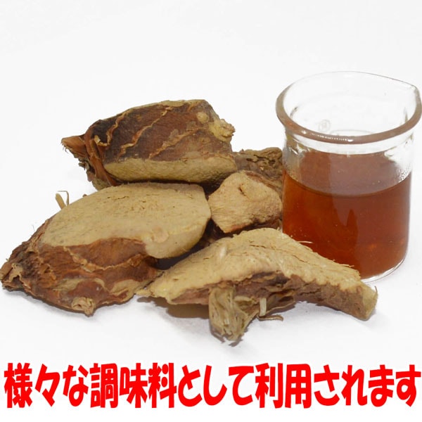 「バンウコン ケンフェリア・ガランガの苗(カチュールスガンディ) 10.5cmポット苗 1個売り」インド原産のハーブ、バンウコンはインド原産の多年草で、地面に張り付くように葉を広げ、その中心部に白い可憐な花を咲かせます。全体に生姜に似た芳香と辛みがあります。