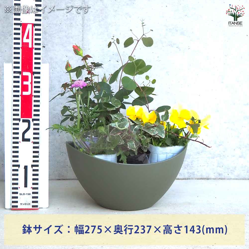 ギャザリン ボウル グリーン 【資材 Sサイズ 季節の花苗＆カラーリーフ