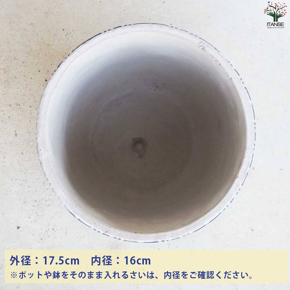 高足鉢 高足杯 脚付き アンティーク 金継ぎ済 陶芸 置物 高足鉢 高足杯 脚付き アンティーク 金継ぎ済 陶芸 置物 - 工芸
