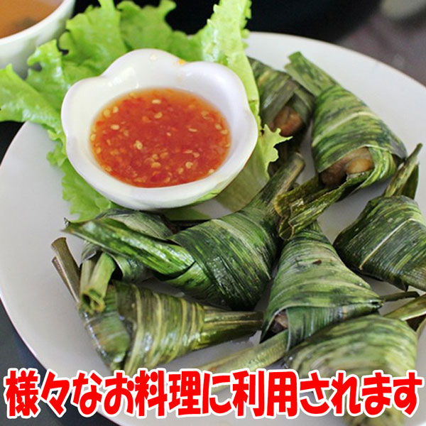 ニオイタコノキ(パンダンリーフ／ニオイアダン) 【ハーブ苗 12cmポット苗 1個売り】