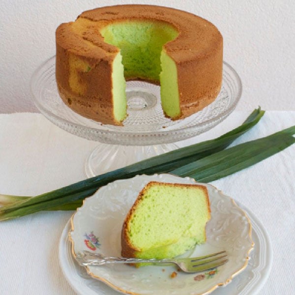 ニオイタコノキ(パンダンリーフ／ニオイアダン) 【ハーブ苗 12cmポット