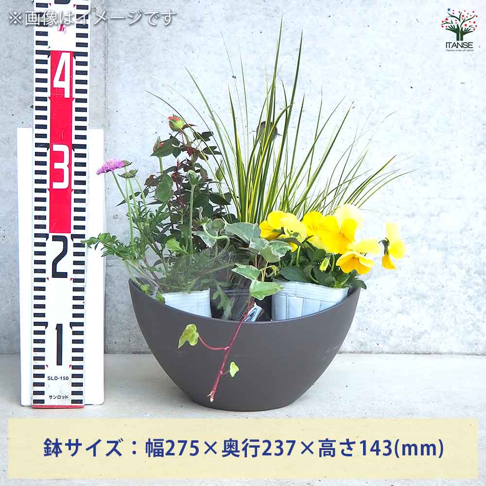 ギャザリン ボウル ダークグレー 【資材 Sサイズ 季節の花苗＆カラー