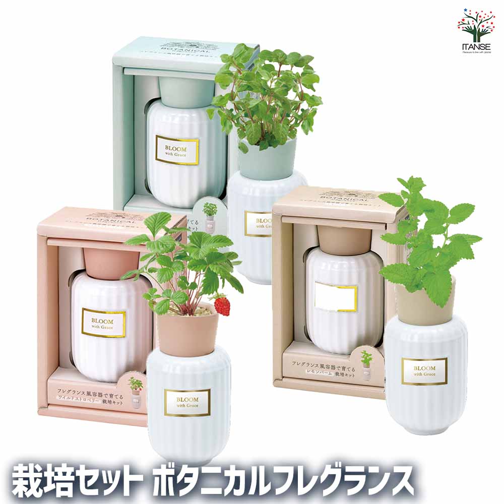 スキンケア・フレグランスセット　大量 クラシカ ボディケアギフトセット L（ローズムスクの香り）8個セット