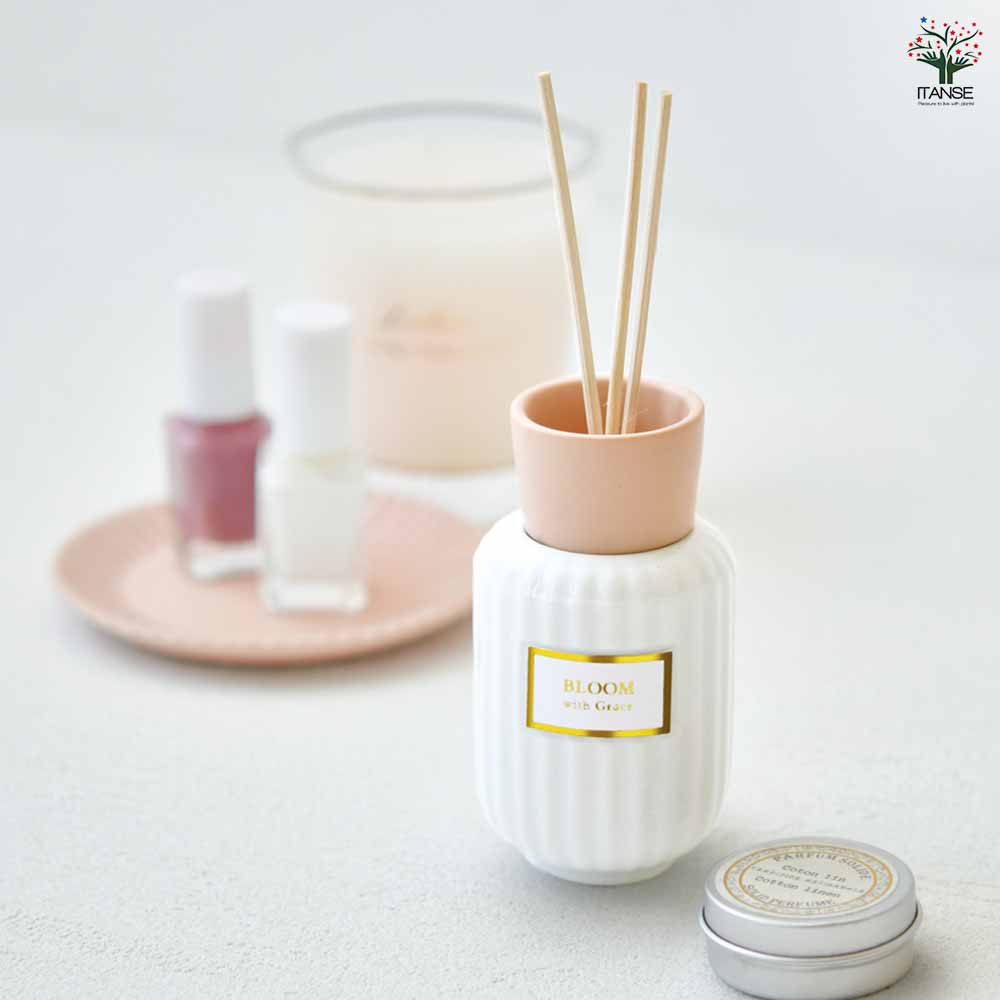栽培セット ボタニカルフレグランス｜ 【植物のITANSE】全品送料
