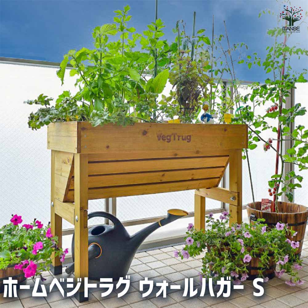 ベジトラグ ホームベジトラグ ウォールハガーS 【資材 ／1個売り