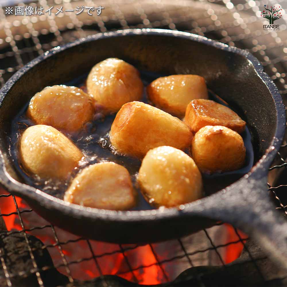 ジャンボにんにく 【野菜球根 充填時200g／1個売り】