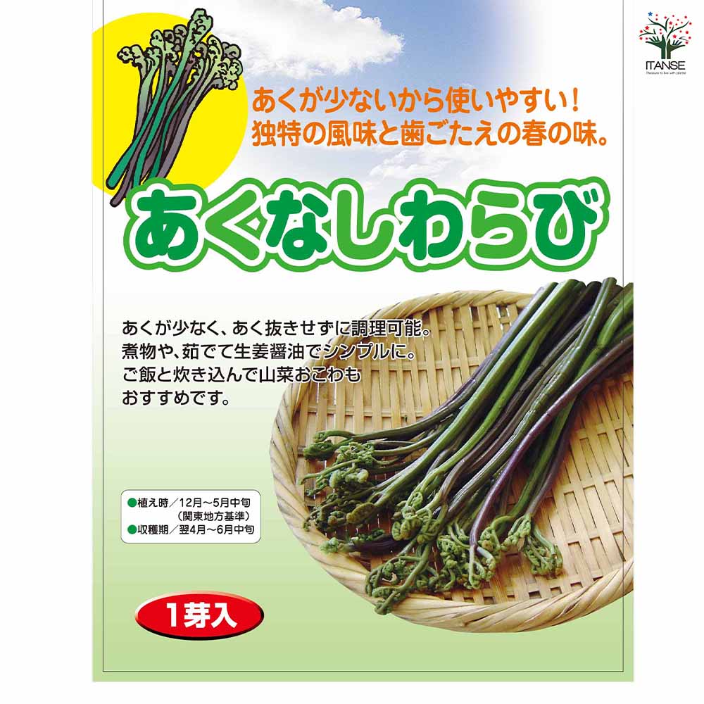 わらび　苗　360本 わらび 苗 販売 苗木部 By 花ひろばオンライン