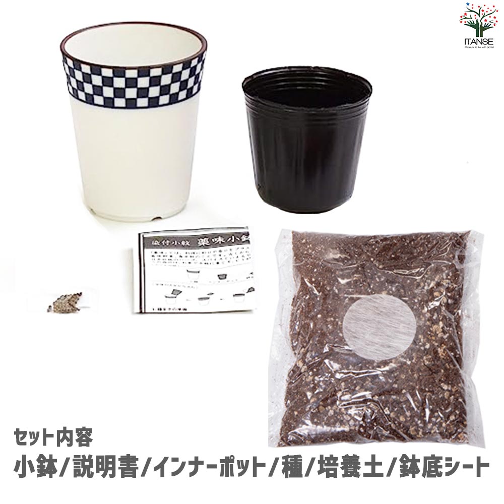栽培セット 三つ葉 染付小紋 薬味小鉢【野菜の苗／1個売り】